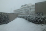 雪風景のケアハウス